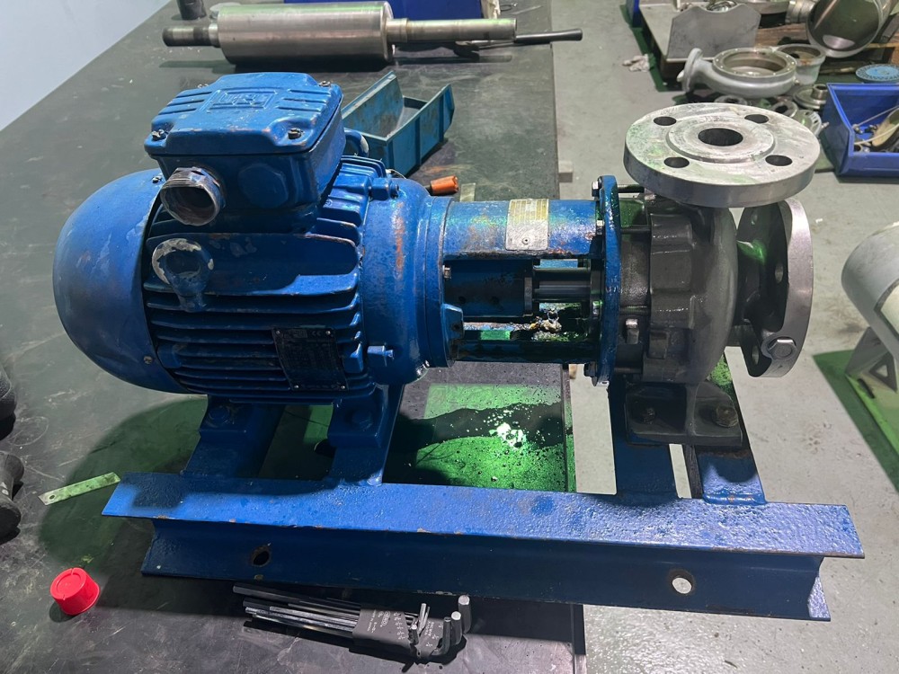 our motor & pump services